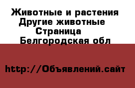 Животные и растения Другие животные - Страница 2 . Белгородская обл.